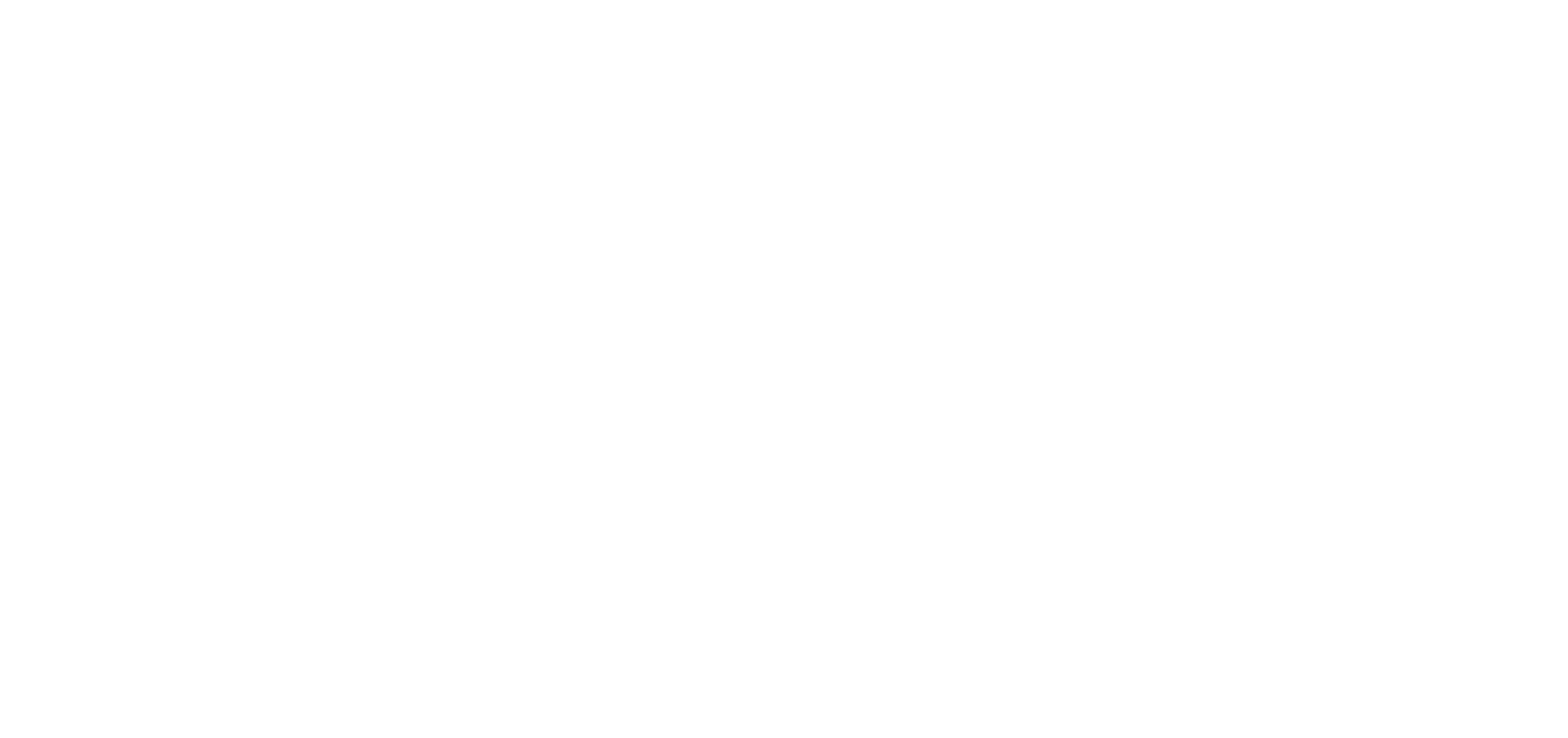 Wise Investor Icon